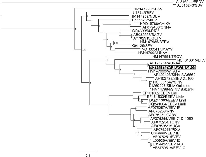 Fig. 3