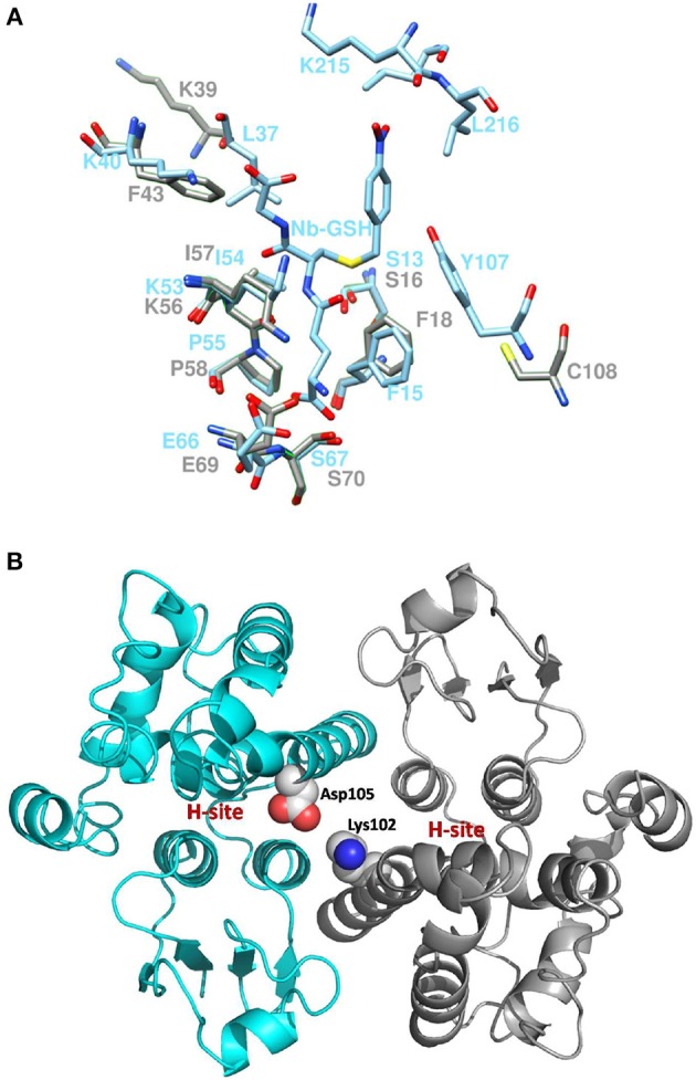 Figure 10