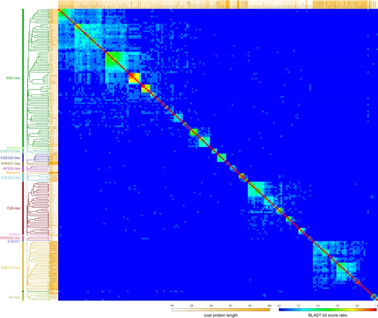 Fig. 1