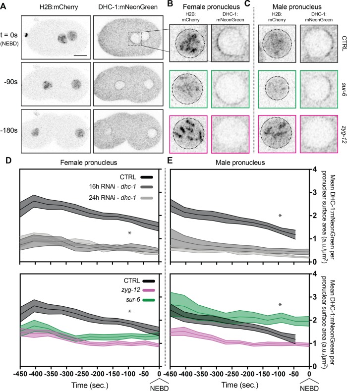 FIGURE 3: