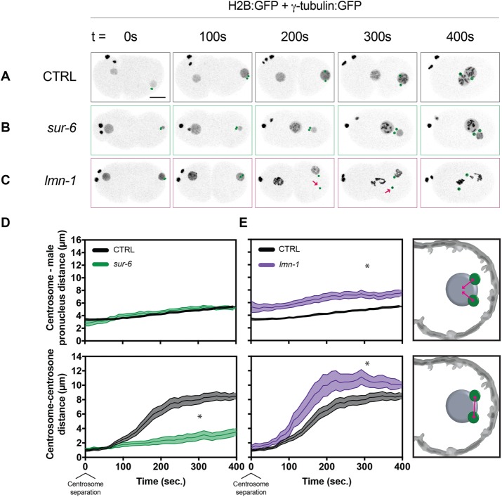 FIGURE 1: