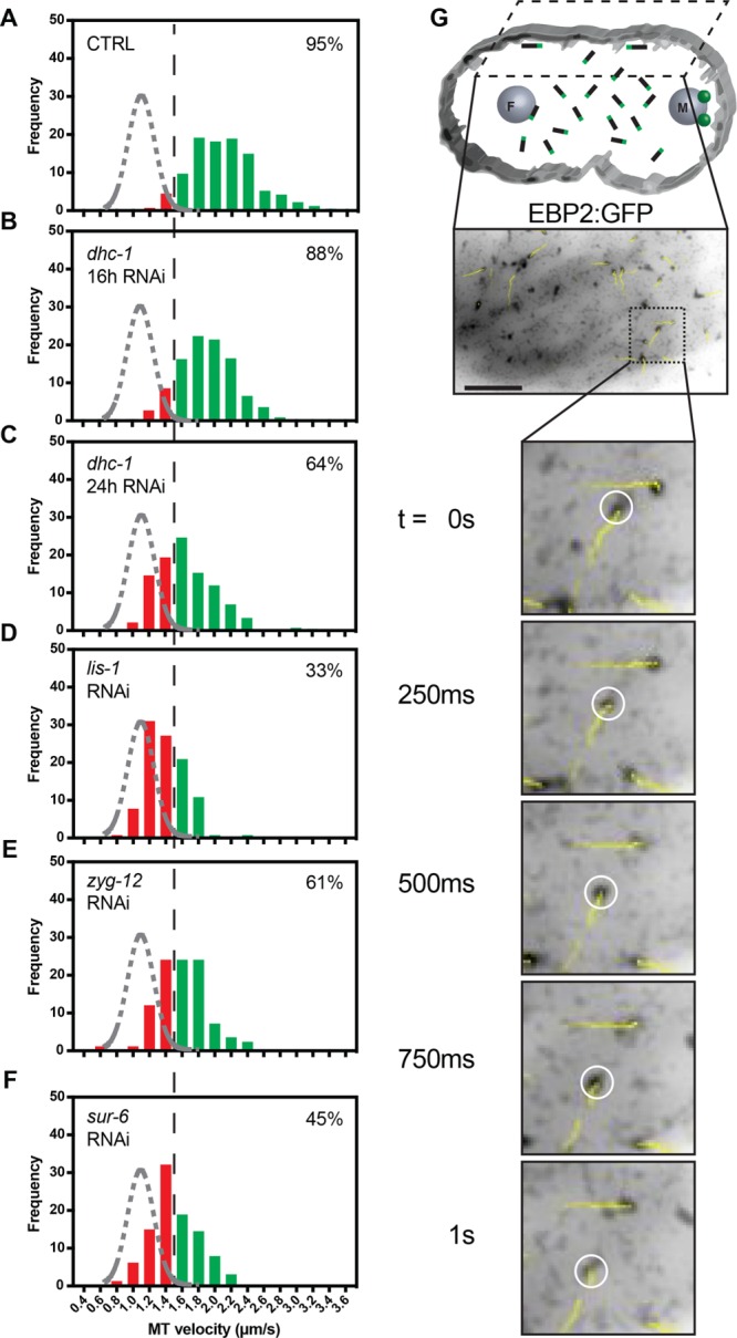 FIGURE 4: