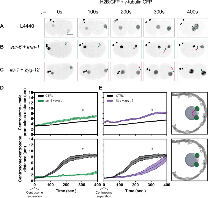 FIGURE 6: