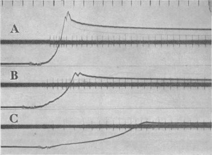 Fig. 16