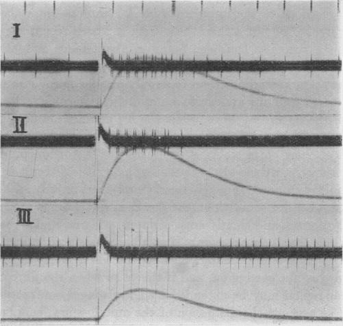 Fig. 20