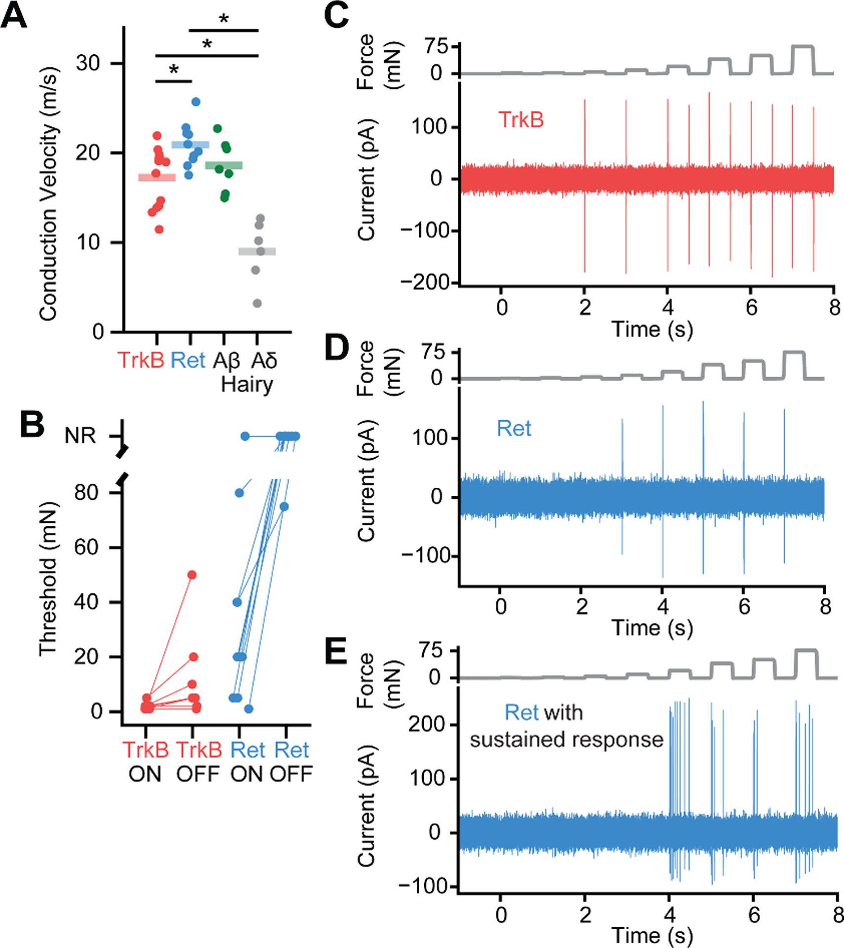 Fig. 4.