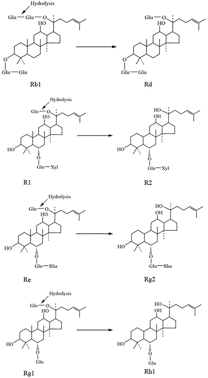 Fig. 7