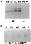 FIG. 5