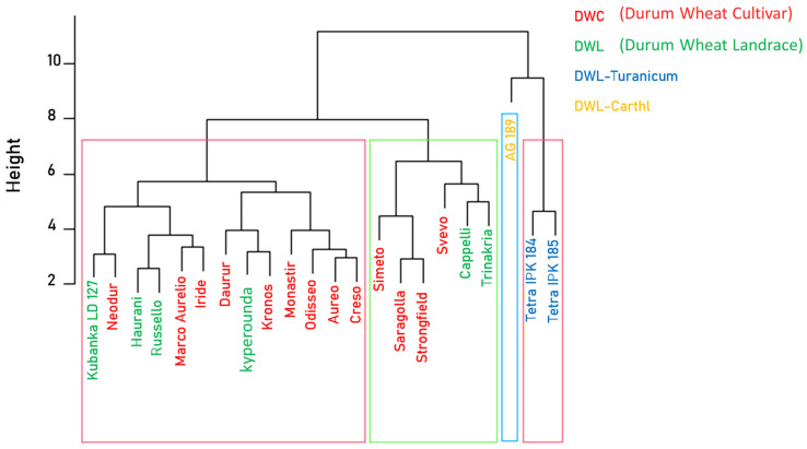 Figure 6