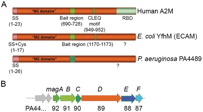 FIG 1 