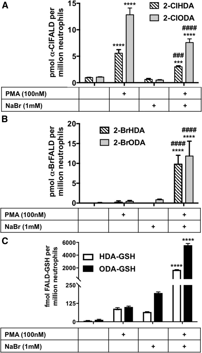 Fig. 4.