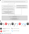 Flowchart and study pathway. (A) Flowchart of participant inclusion.
Ultimately, datasets from 41 participants who fulfilled all necessary
criteria (ie, all scans performed throughout neoadjuvant chemotherapy [NAC],
all scans with sufficient quality, and post-NAC histopathologic analyses
available) were included in this analysis. (B) Participants received three
or four cycles of the first regimen and three or four cycles of the second
regimen prior to post-NAC surgical intervention. In total, five MRI and MR
elastography (MRE) sessions were interlaced with the NAC regimen.