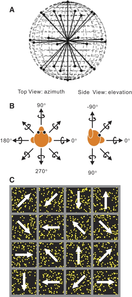 FIG. 1.