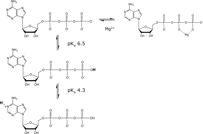 FIGURE 9.