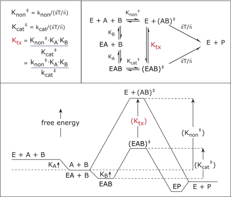 FIGURE 11.