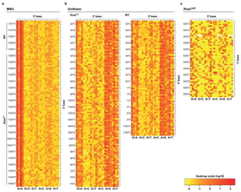 Extended Data Figure 1