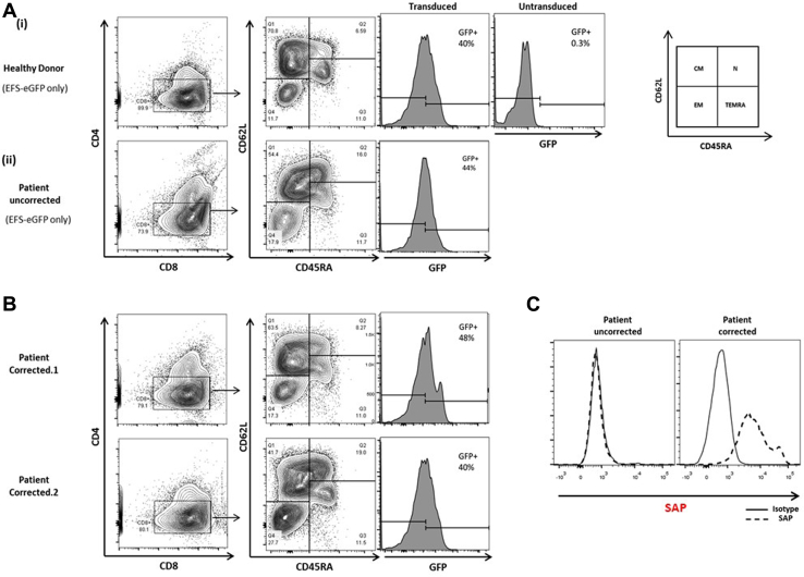 Fig 6