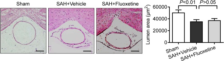 Fig. 7