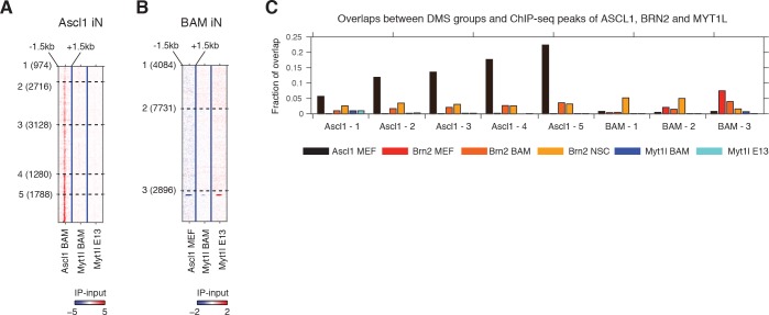 Figure 4—figure supplement 1.