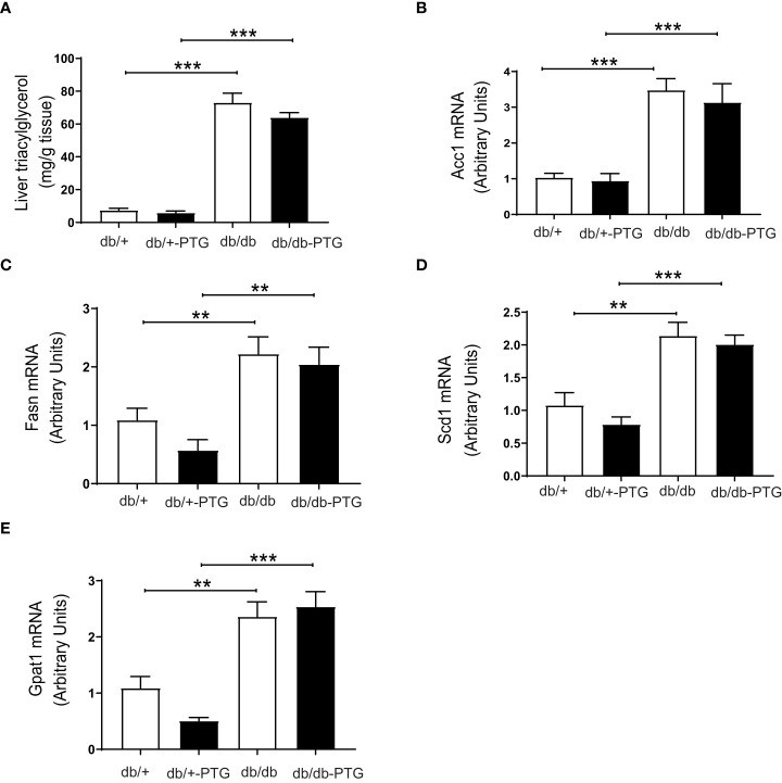 Figure 6