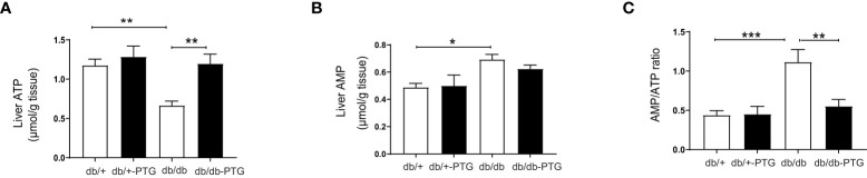 Figure 5