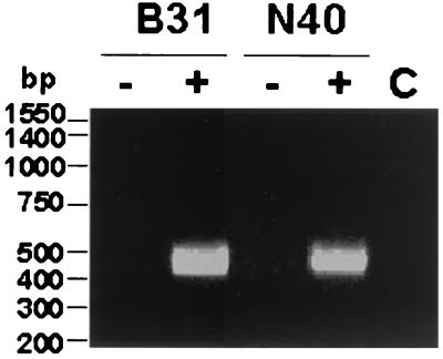 FIG. 5.