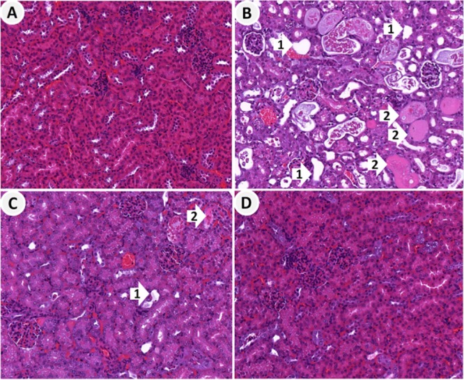 FIG 1