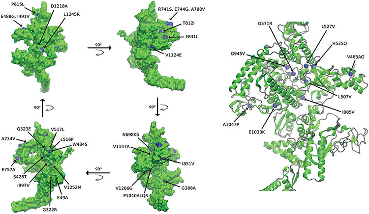 Figure 5: