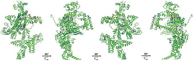 Figure 6: