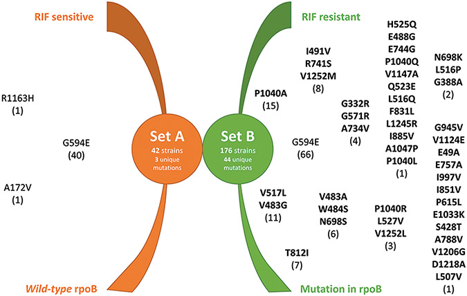 Figure 3: