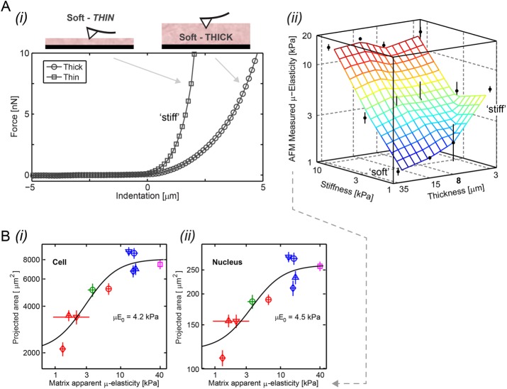 FIGURE 2: