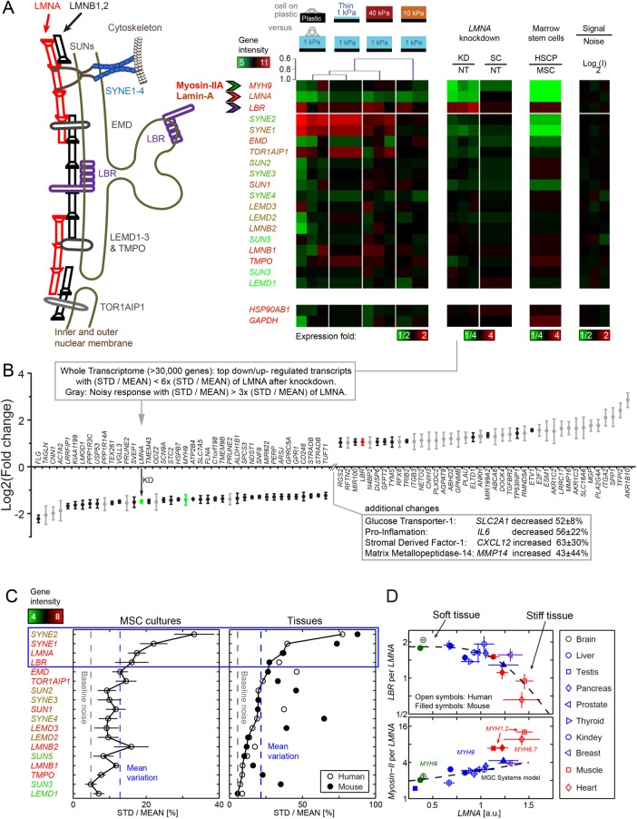 FIGURE 4: