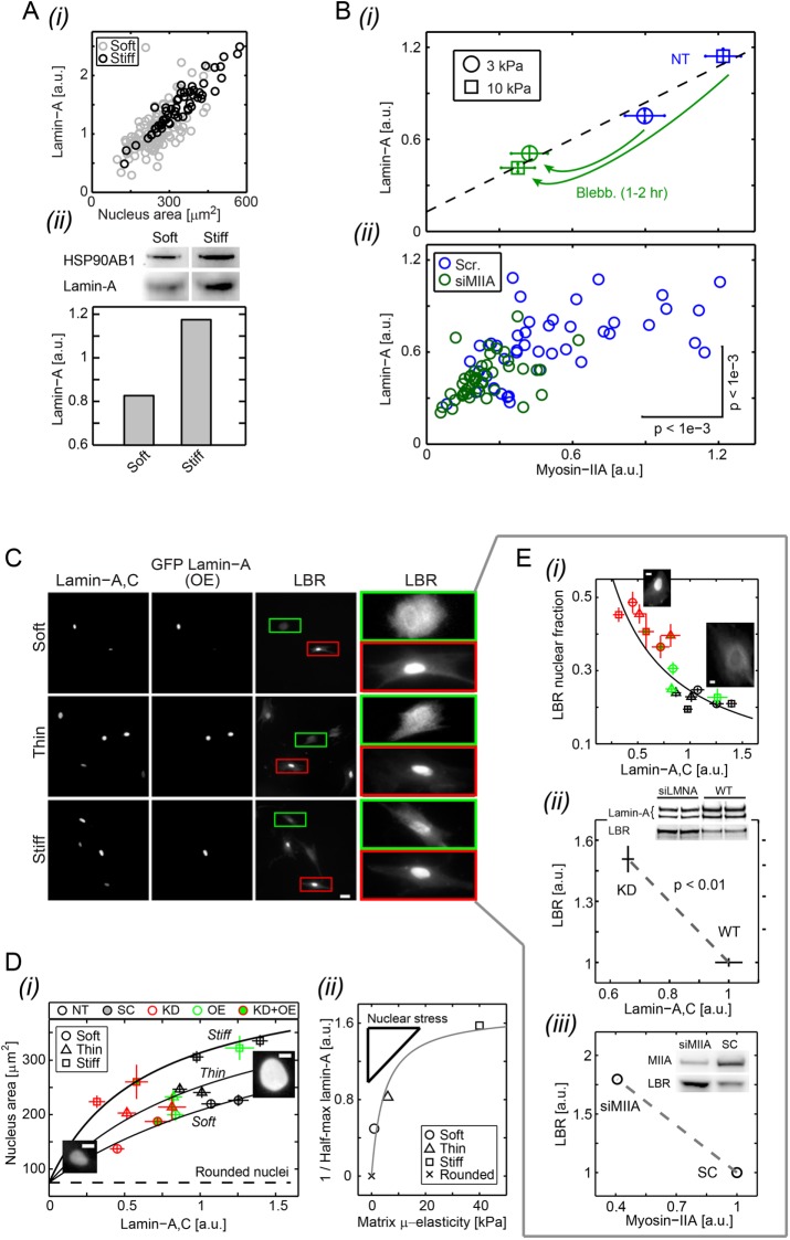 FIGURE 6: