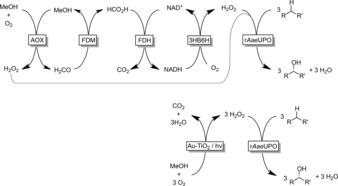 Scheme 1