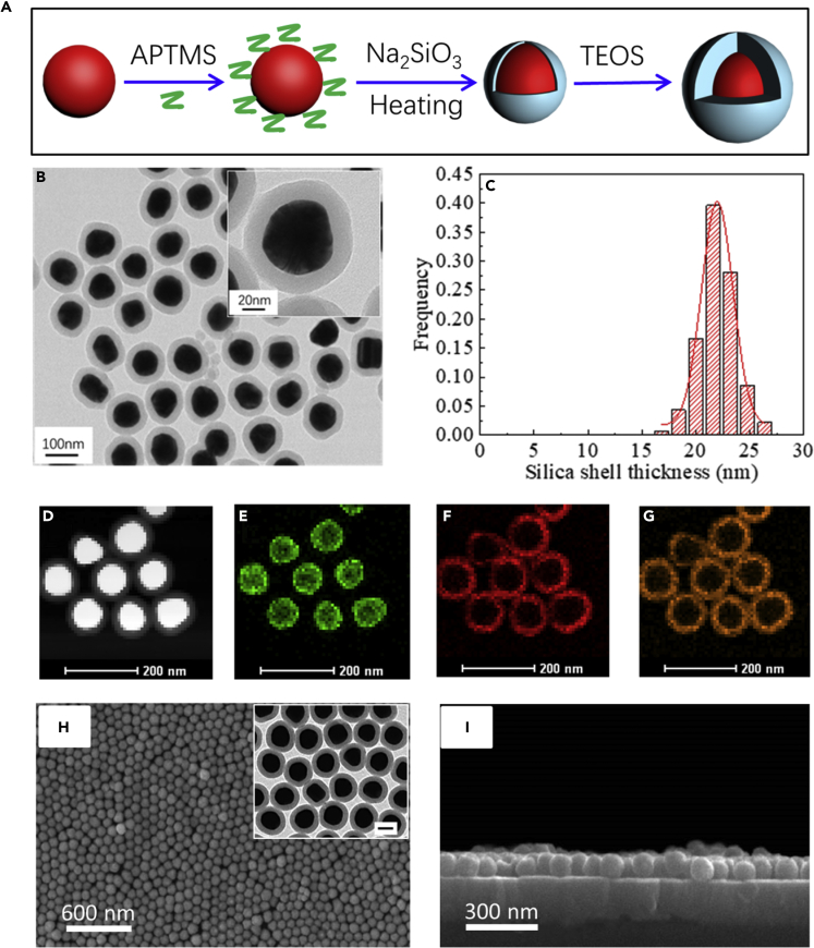 Figure 2