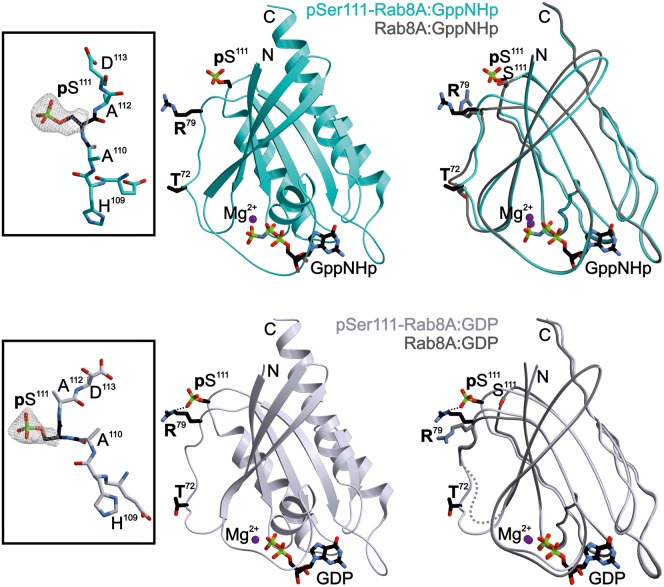 Figure 4.