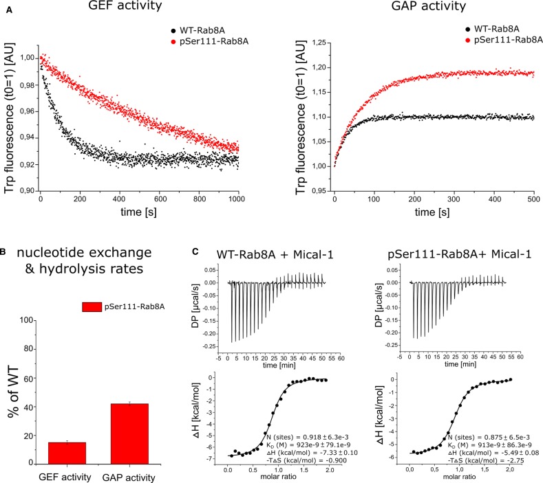 Figure 2.