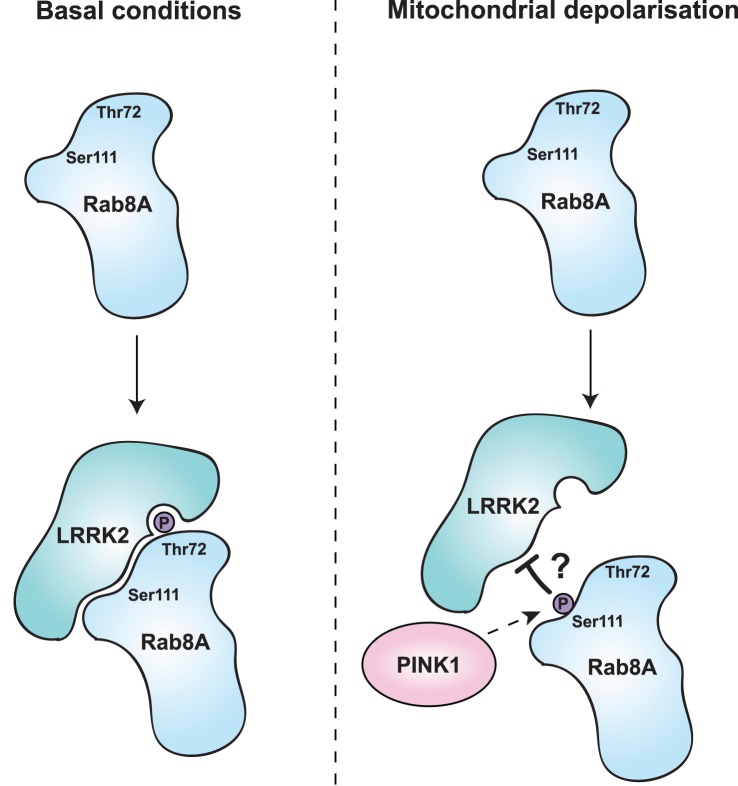 Figure 6.