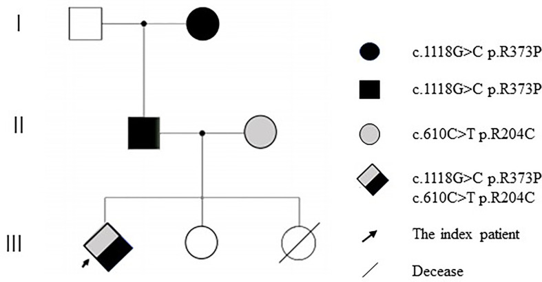 Figure 3