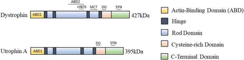 Figure 2.