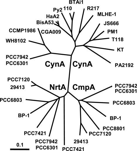 FIG. 8.