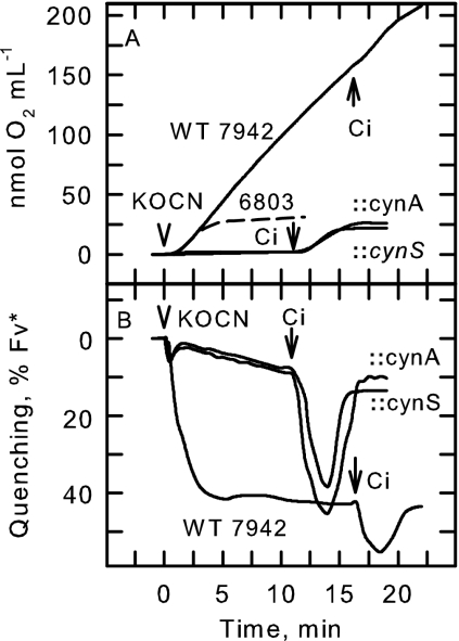 FIG. 5.