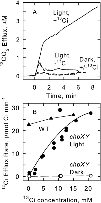 FIG. 7.