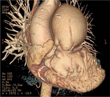 Fig. 1.