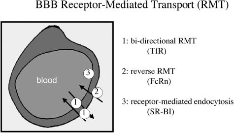 FIG. 7.