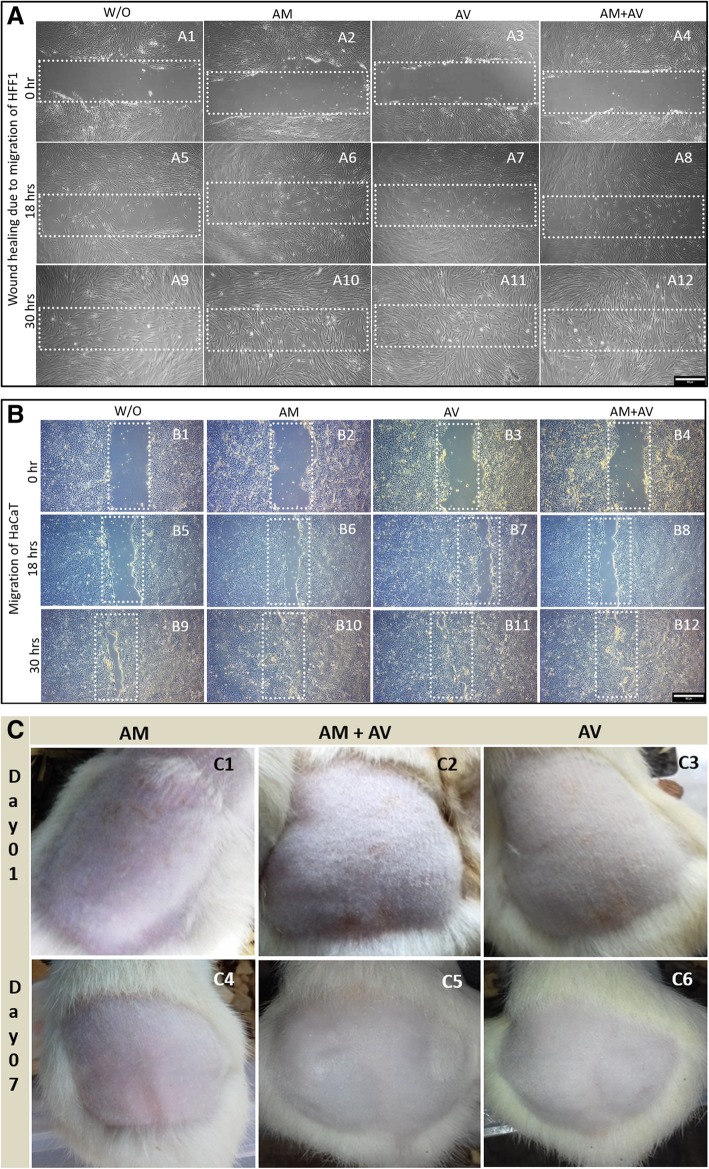 Fig. 4