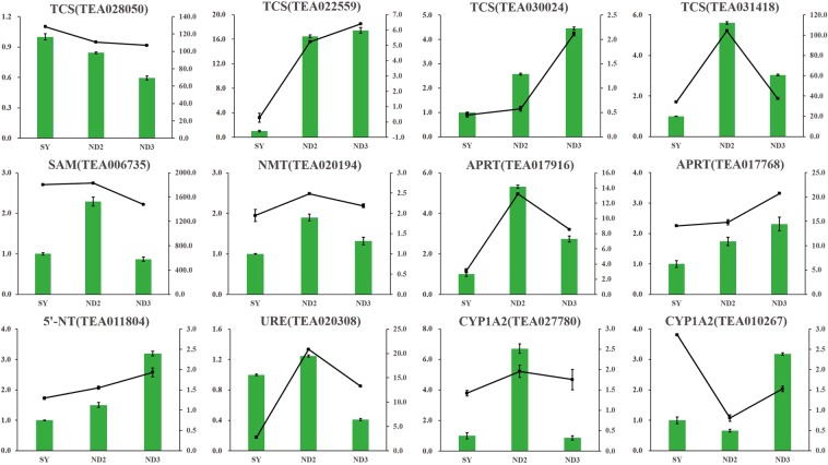 Figure 6