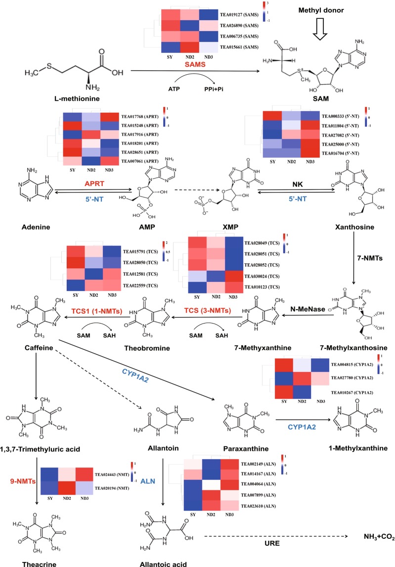 Figure 5