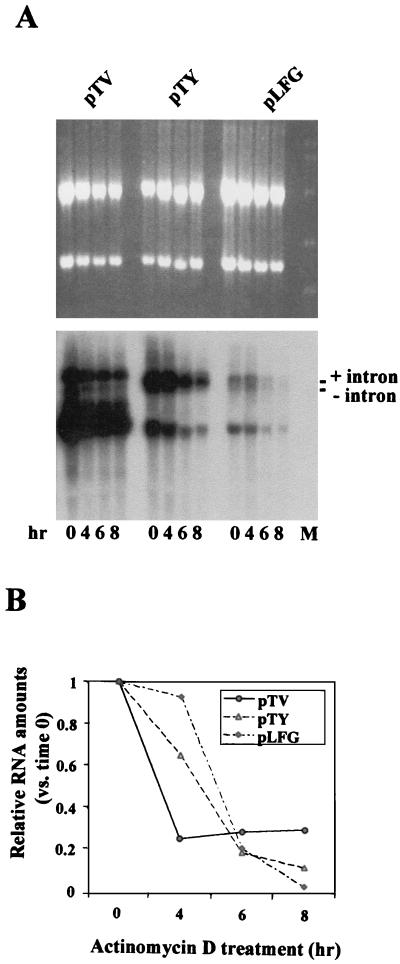 FIG. 3.