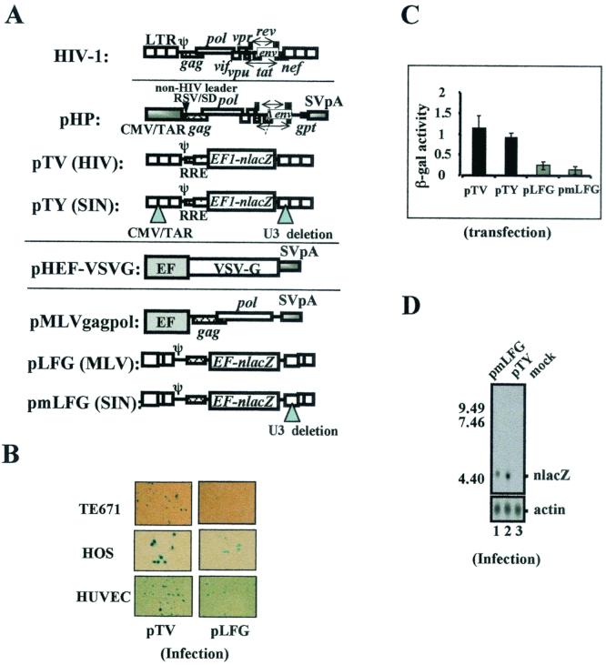 FIG. 1.